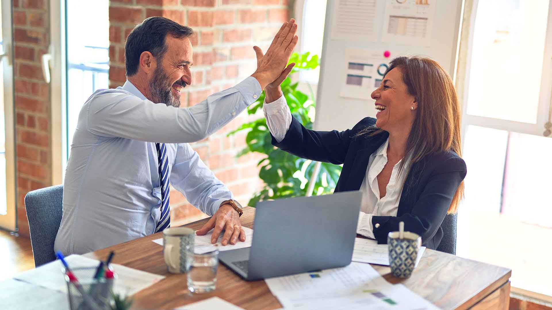 Dev Hub Solutions - Professional Software Development Team